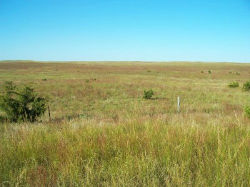 Lake Maloney Grass : North Platte : Lincoln County : Nebraska