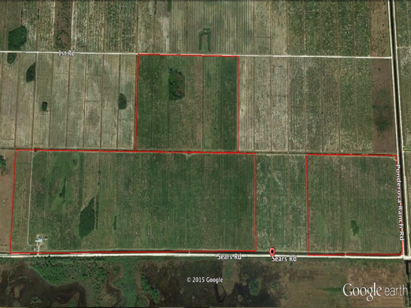 338 Acres Agriculture Land : Labelle : Hendry County : Florida