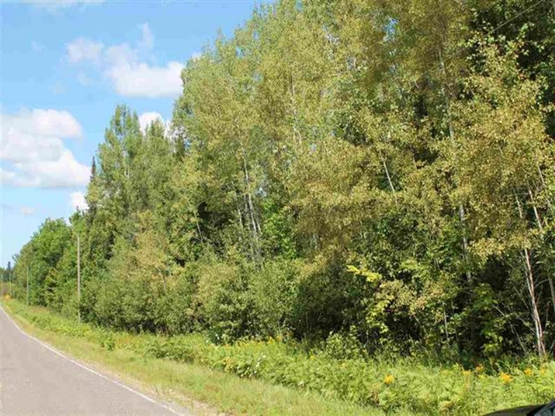 Bellaire Rd, Mls 1090248 : Portage : Baraga County : Michigan