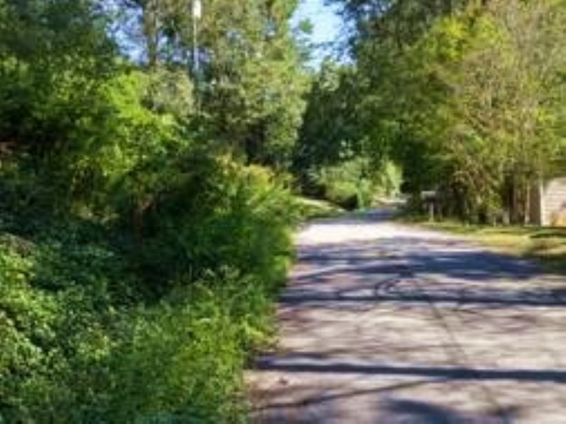 Lake Access W/ Utilities : Cumming : Forsyth County : Georgia