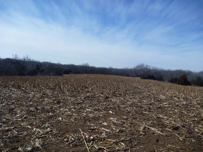 Thayer County Farm and Hunt Tract 1 : Hebron : Thayer County : Nebraska