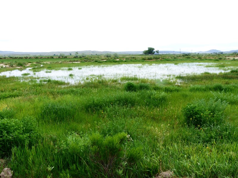 Home, Water Rights and Pasture : Maybell : Moffat County : Colorado