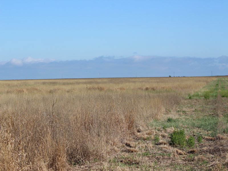 Haskell County Crp : Sublette : Haskell County : Kansas