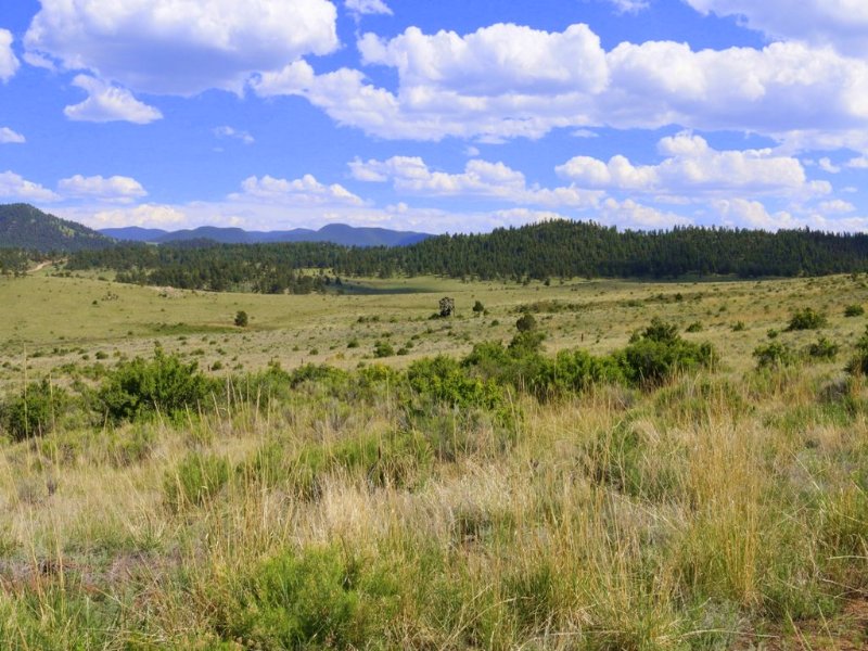 Sterling Views : Silver Cliff : Custer County : Colorado