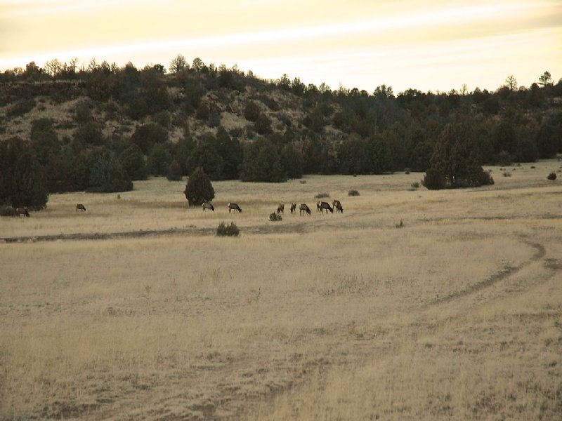 Lariat Ranch : Watrous : San Miguel County : New Mexico