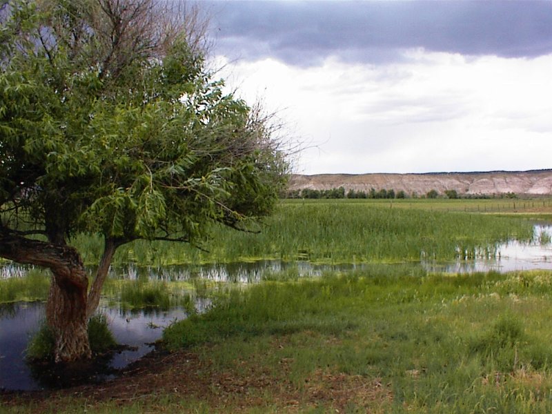 River Ranch and Water Rights : Maybell : Moffat County : Colorado