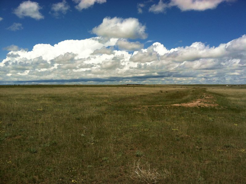 Big Springs 40 : Yoder : El Paso County : Colorado