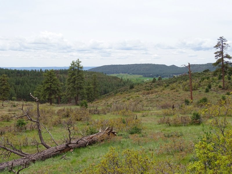 Beaver Creek Ranch - Lot 4 - Bayfie : Bayfield : La Plata County : Colorado