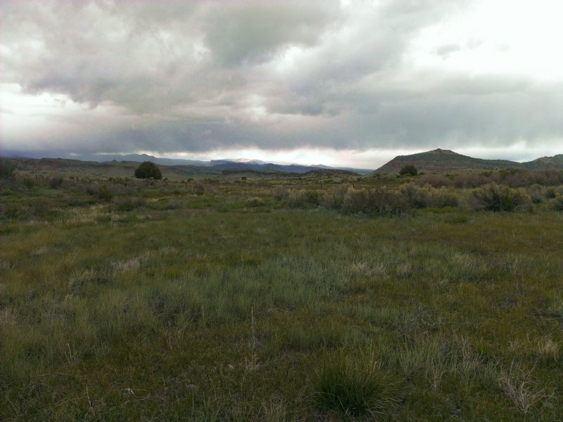 San Francisco Creek Ranch - 35 Acre : Del Norte : Rio Grande County : Colorado
