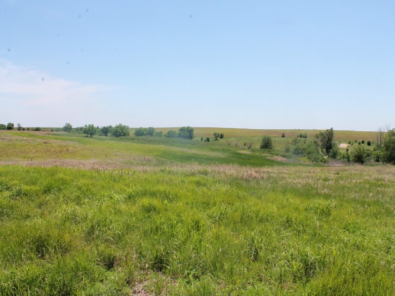 Rooks County Refuge : Woodston : Rooks County : Kansas