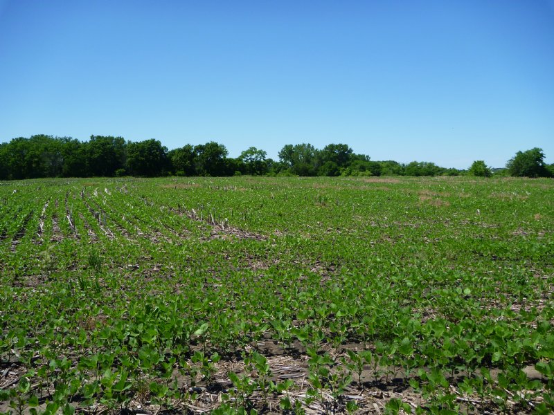 Otoe County Farm and Hunt - Price R : Syracuse : Otoe County : Nebraska