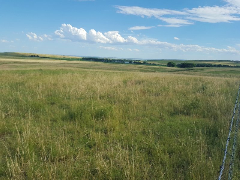 Mill Canyon Ranch : Scottsbluff : Scotts Bluff County : Nebraska