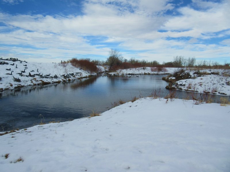 Scotts Bluff County Waterfowl Haven : Mitchell : Scotts Bluff County : Nebraska