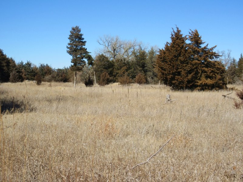 Lincoln County Whitetails : Maxwell : Lincoln County : Nebraska