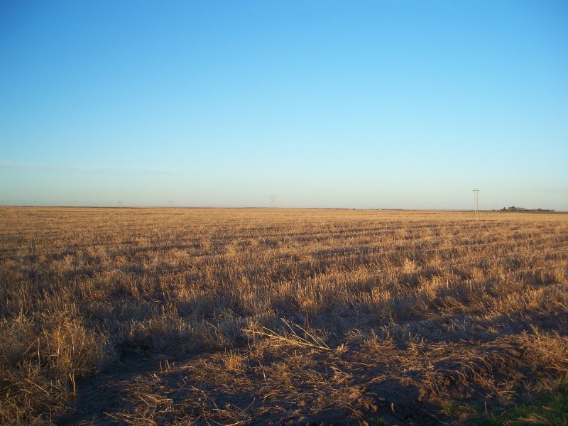 Deuel County Dryland Farm : Lewellen : Deuel County : Nebraska