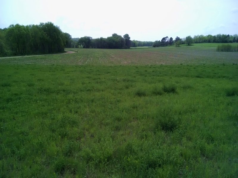 Gage County Farm and Wildlife : Blue Springs : Gage County : Nebraska