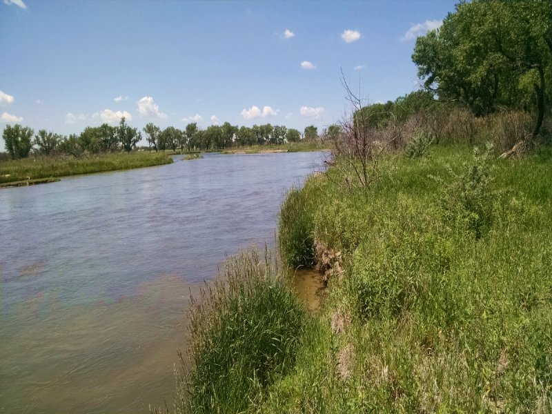 North Platte Waterfowl and Whitetai : North Platte : Lincoln County : Nebraska