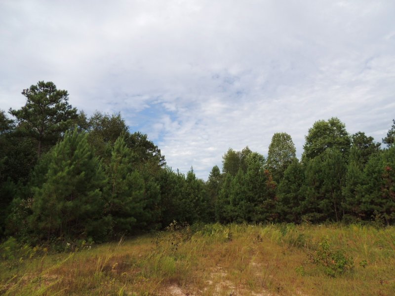 75.72 Ac Mountville Hogansville Rd. : Hogansville : Troup County : Georgia