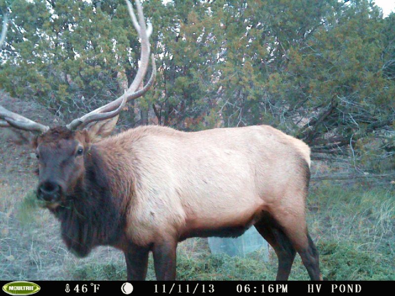 Purgatoire Ranch East In-holding : Kim : Las Animas County : Colorado