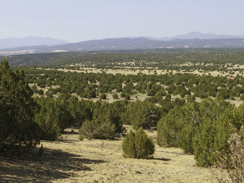 Old Saddle Ranch : Pueblo : Pueblo County : Colorado
