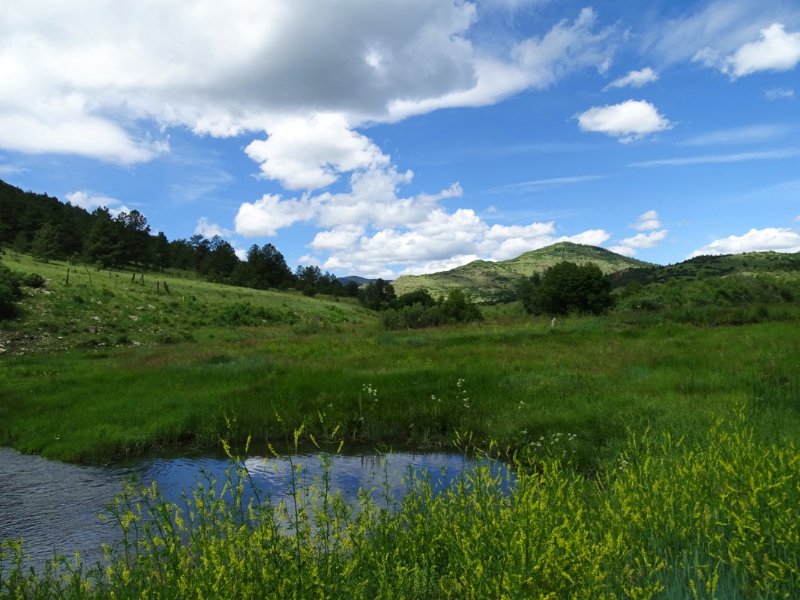 Bar J Ranch : Cañon City : Fremont County : Colorado