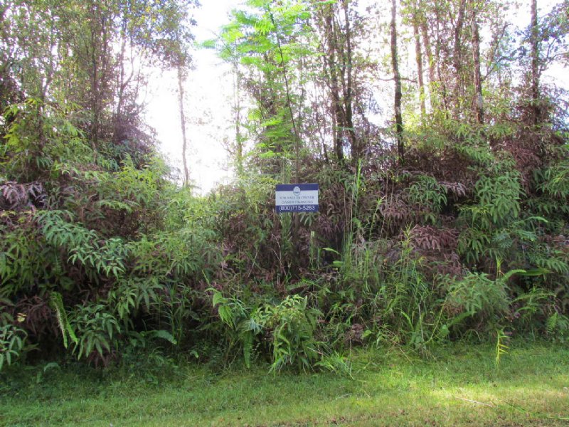 Near Hilo, Owner Financing : Pahoa : Hawaii County : Hawaii