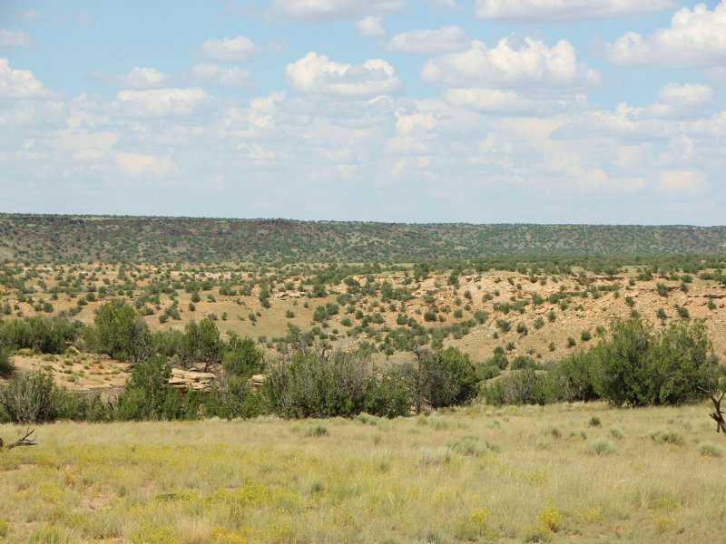 38 Acre Northern Arizona Ranch : Saint Johns : Apache County : Arizona