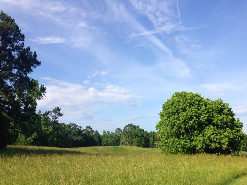 Build Your Masterpiece Here : Columbiana : Shelby County : Alabama