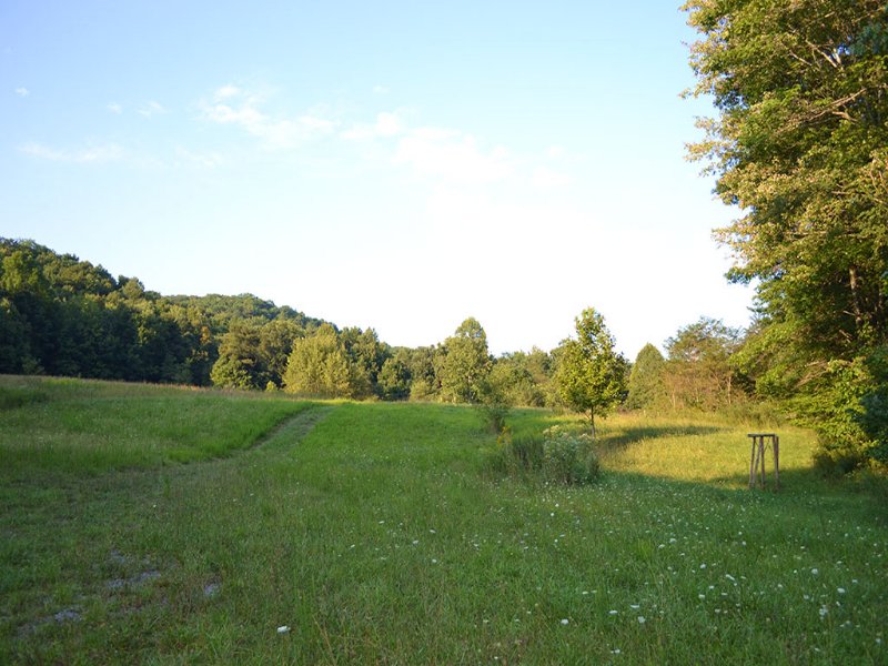 100± Acres Cove Creek Area : Tazewell : Tazewell County : Virginia