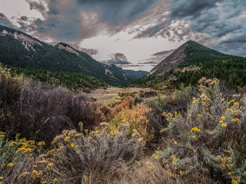 Roan Creek Ranch : De Beque : Garfield County : Colorado