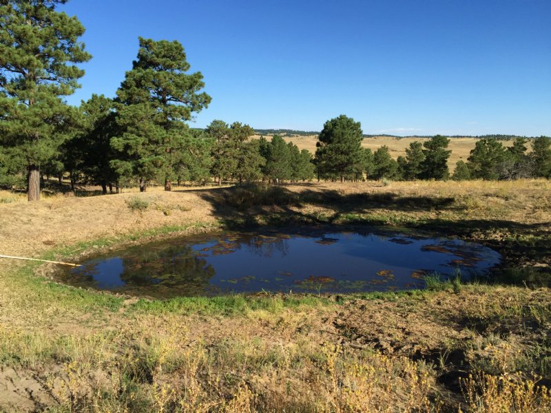 Hill Top Retreat : Kiowa : Elbert County : Colorado