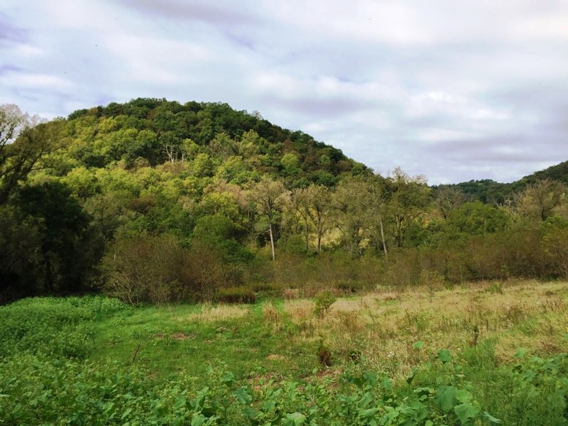 81.5 Acres with Building Sites : Ferryville : Crawford County : Wisconsin