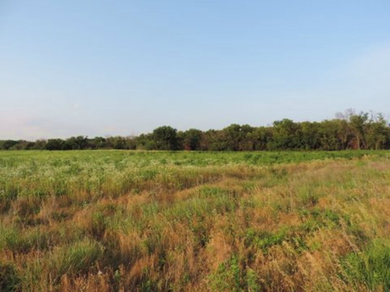 Kansas Whitetail Property : Burlington : Coffey County : Kansas
