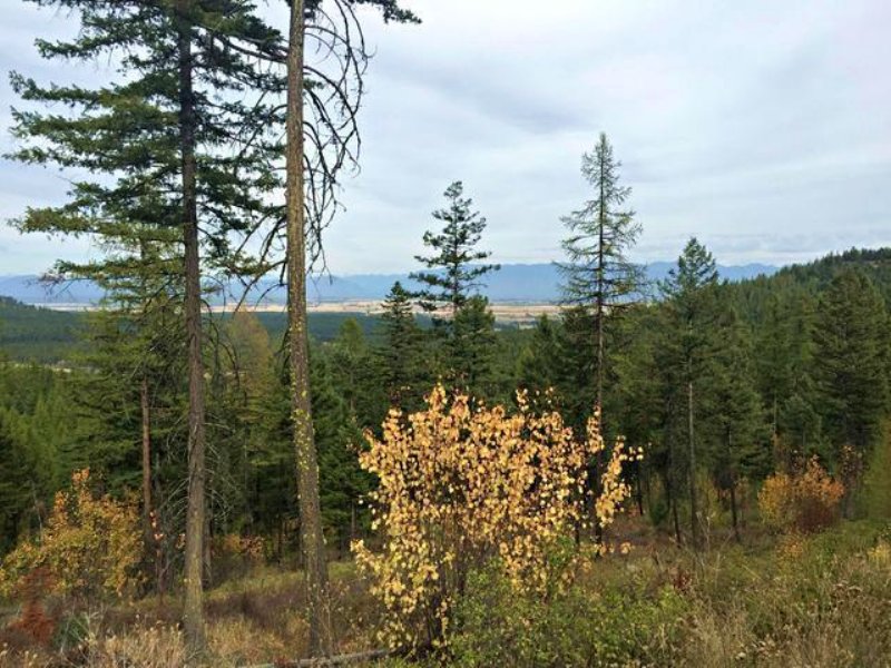 Dern Draw Mountain Estate : Kalispell : Flathead County : Montana