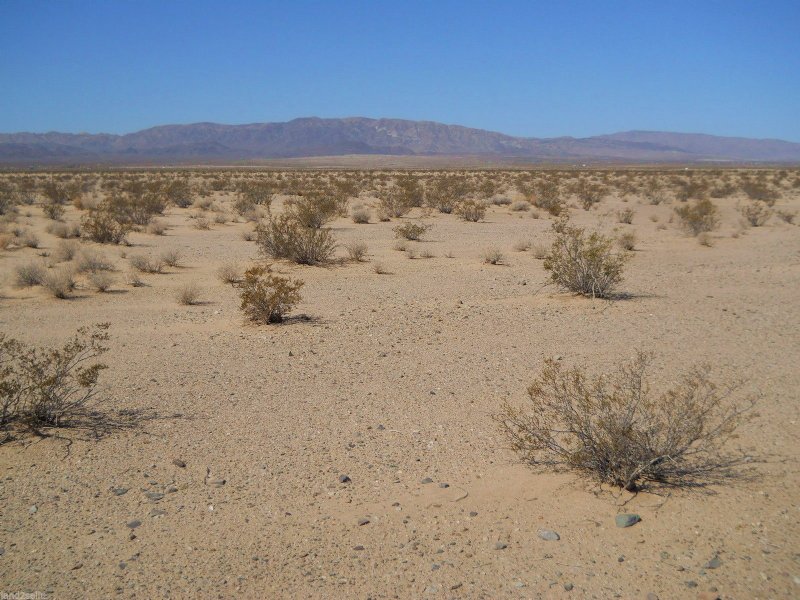 1.25 Acres with Power 400 Feet Away : Twentynine Palms : San Bernardino County : California
