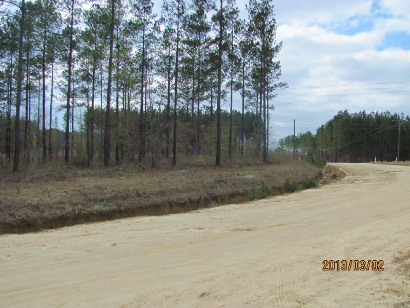 38 Acres for Minifarm : Lyons : Toombs County : Georgia