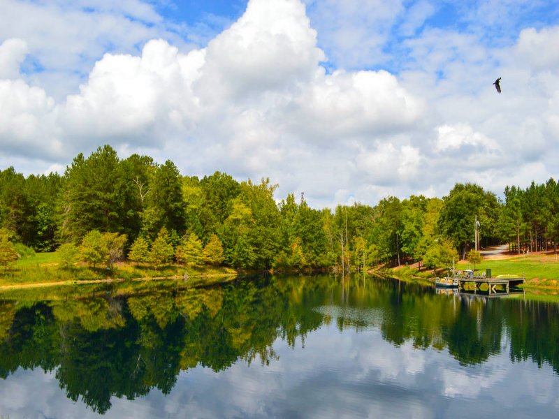 375 Acre Plantation : Union : Union County : South Carolina