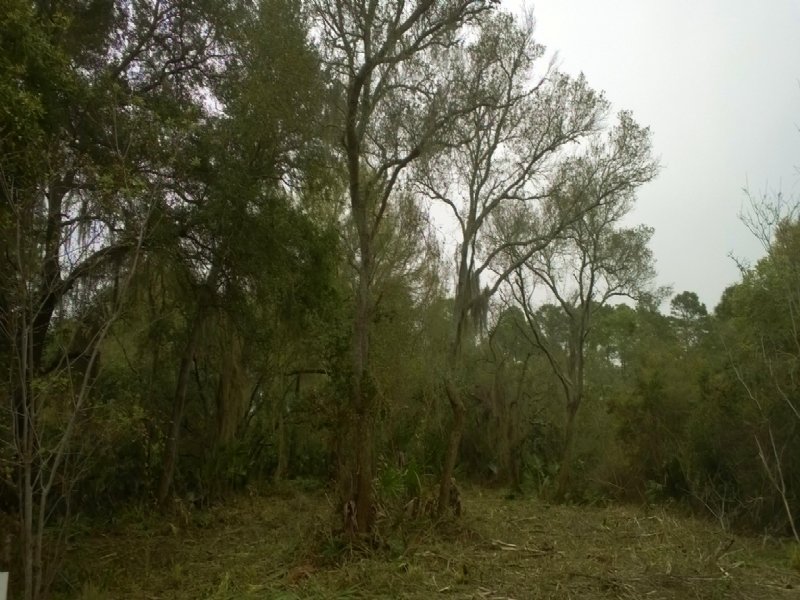 Wooded Lot in Gated Community : Saint Marys : Camden County : Georgia