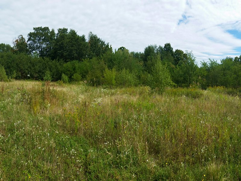 Building Lot Near Salmon River : Pulaski : Oswego County : New York