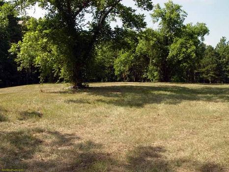 Mini Farms or Home Sites : Helena : Telfair County : Georgia