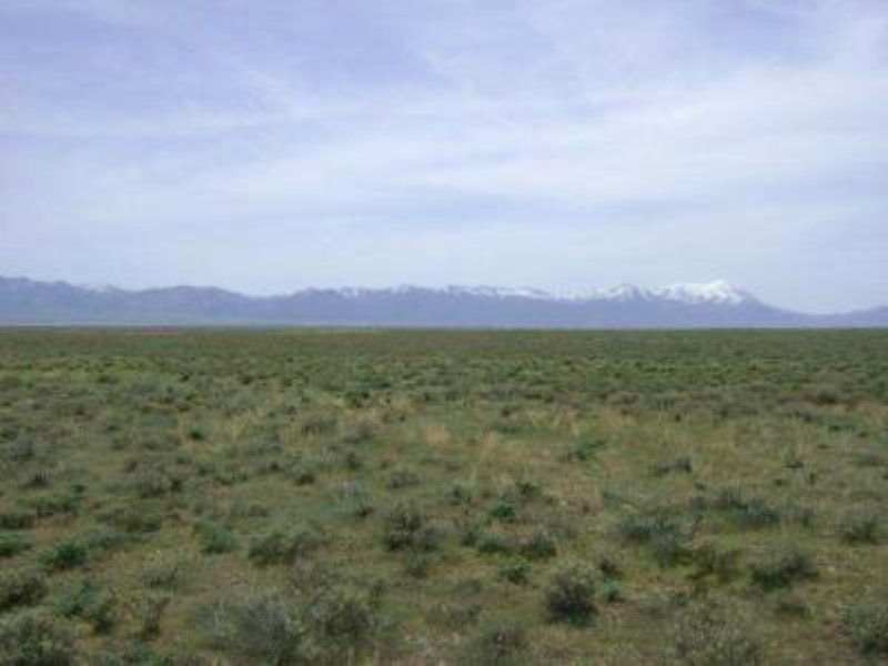 4.88 Acres Outside Battle Mountain : Battle Mountain : Lander County : Nevada