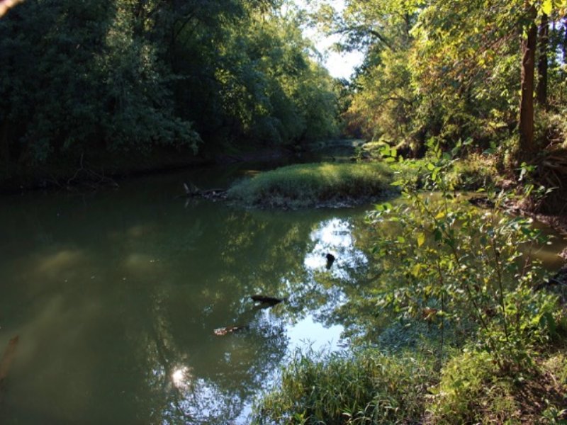 Scenic Drive - 36 Acres : Vinton : Gallia County : Ohio
