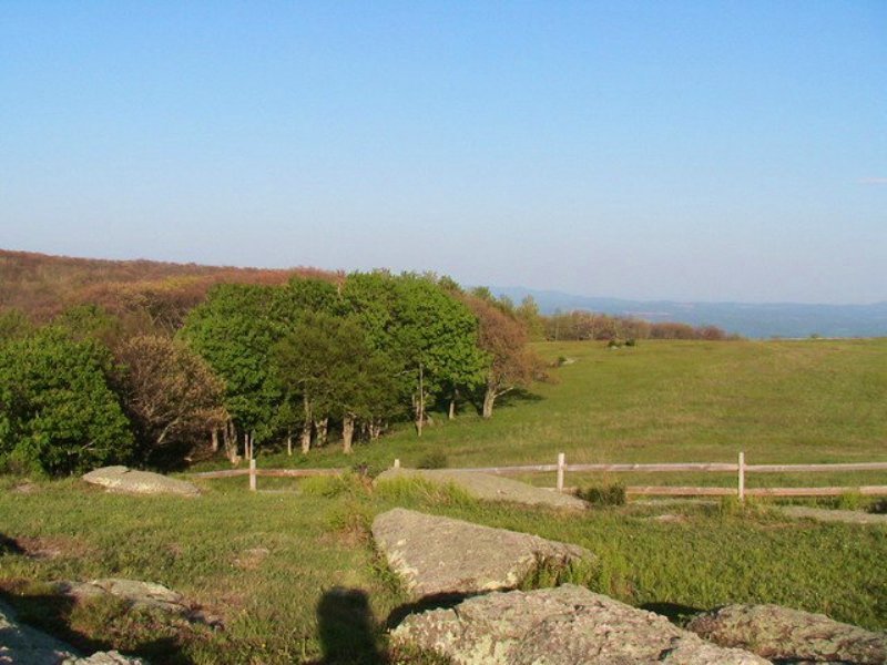 Lot P16 Views Blue Ridge Mtns. : Independence : Grayson County : Virginia