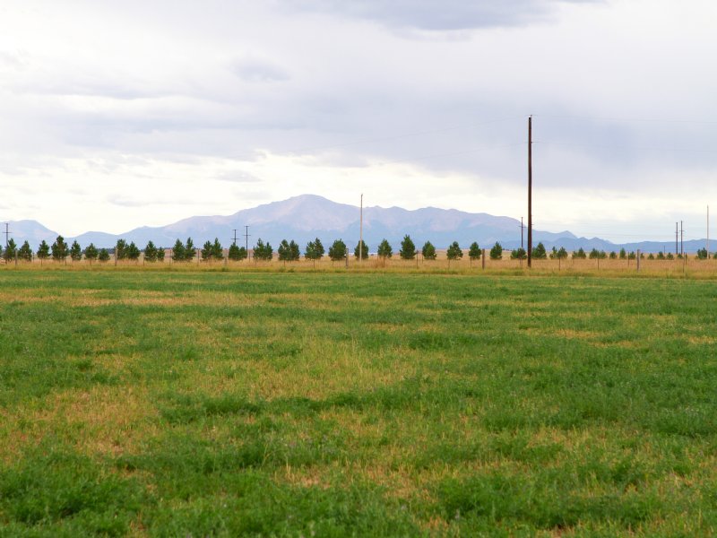 Elk Meadows : Elbert : Elbert County : Colorado