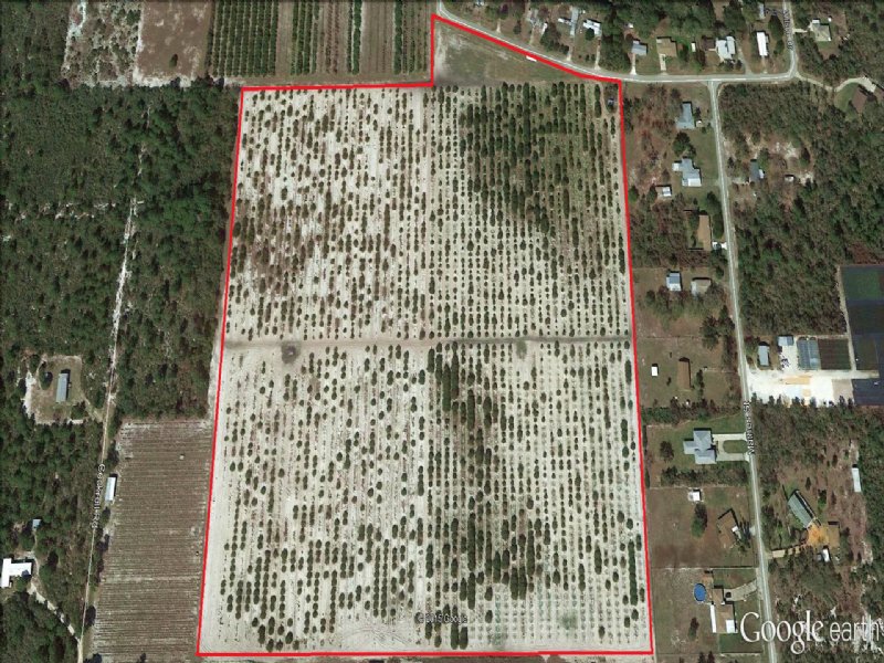 21.± Ac Grove with Development Opp. : Sebring : Highlands County : Florida