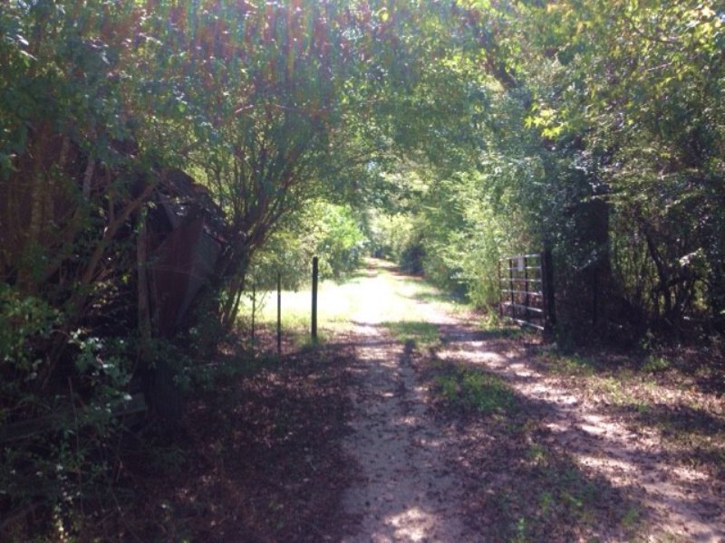 63.00 Acres Recreation Land, Timber : Foxworth : Marion County : Mississippi