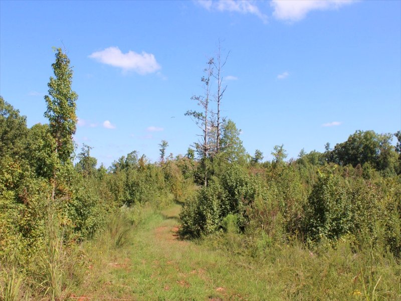 Beautiful Long Range Views : Thomaston : Upson County : Georgia