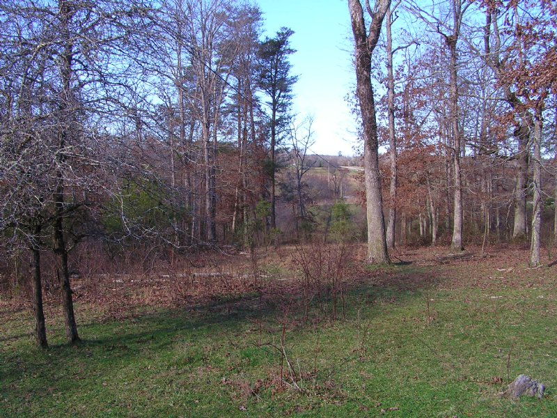Creek, 5 Acres, : Spencer : Van Buren County : Tennessee