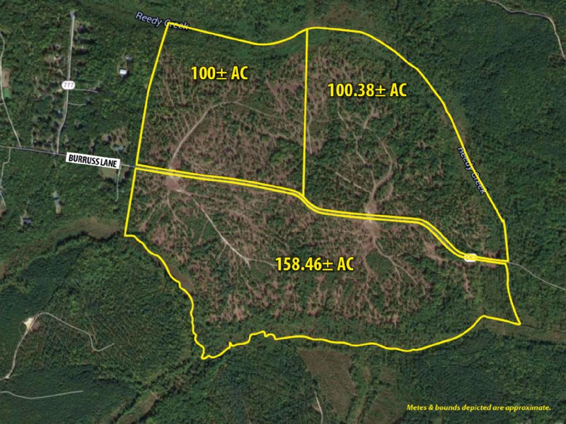 Accelerated Sale: 358± Acres : Ruther Glen : Caroline County : Virginia