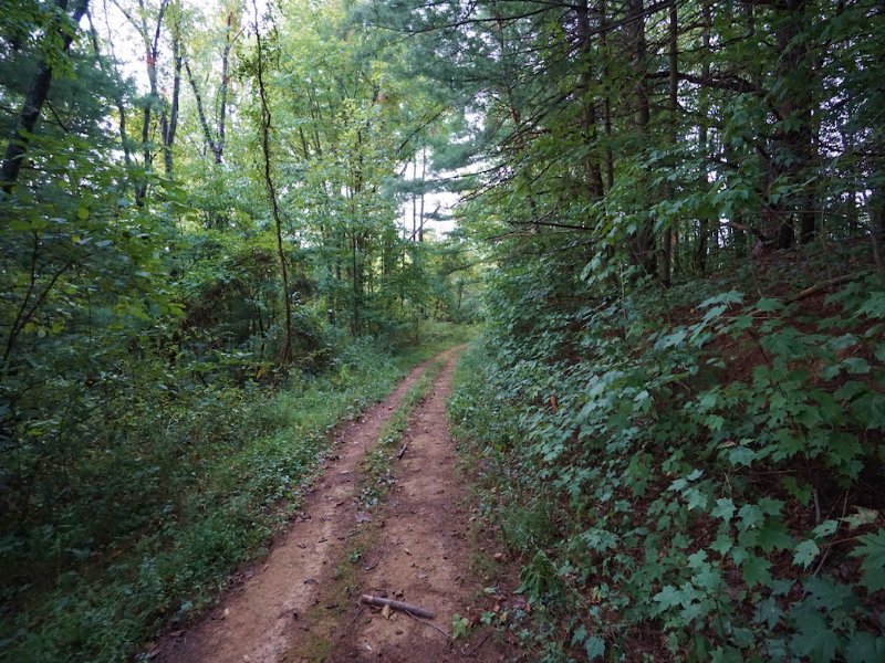 Fairview Ridge Rd - 40 Acres : Newport : Washington County : Ohio